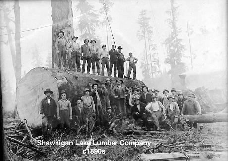 Shawnigan Lumber Company